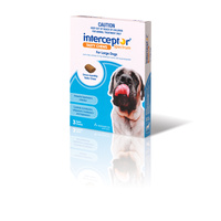 Interceptor for Dogs Chewable Wormer - Blue - Large Dogs 22-45kg - 3-Pack