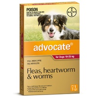 Advocate Flea & Wormer Spot-on for Dogs 10-25kg - Single Dose