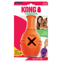 4 x KONG Genius Leo Dog Toy - Large